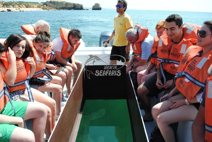 Glass Bottom Boat Experience - Algarve Boat Tours