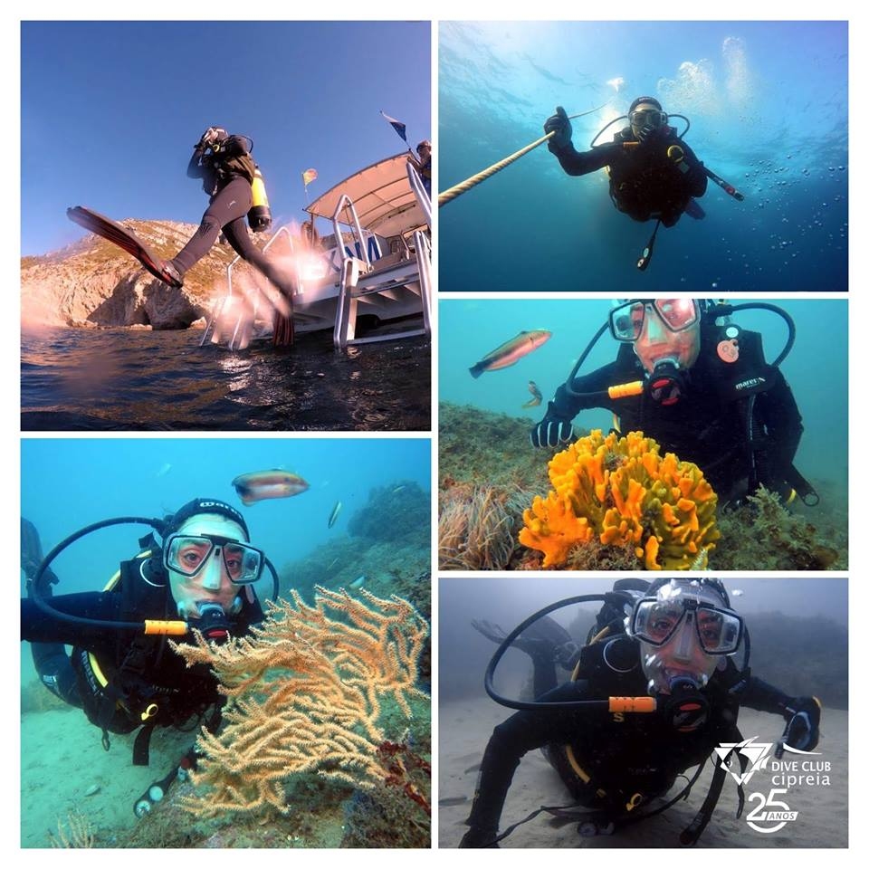 Scuba diving Lagos - Algarve Boat Tours